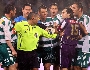 SK Rapid24.jpg