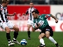 SV Ried14.jpg